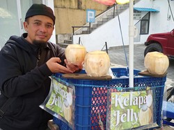 Mih Jaen Ne! Menikmati Segarnya Kelapa Muda Jelly di Bedugul
