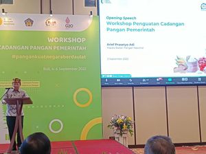 Cadangan Pangan Nasional Tipis, Kepala BPN Contohkan Bali Bisa Mandiri