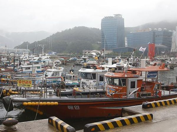 Pelabuhan di Korea Selatan Siaga Serangan Angin Topan
