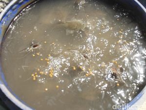 Relawan Ganjar Beri Bantuan Cat-Bibit Lele ke Ponpes di Lampung Tengah