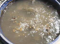 Relawan Ganjar Beri Bantuan Cat-Bibit Lele ke Ponpes di Lampung Tengah