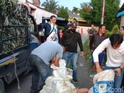 Bawa 71 Kg Ganja, 4 Warga Kutacane Ditangkap di Medan