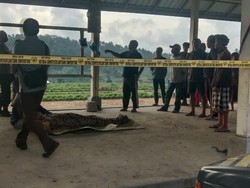 Lansia Asal Karangasem Tewas Gantung Diri di Kuburan