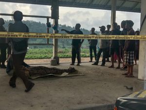 Lansia Asal Karangasem Tewas Gantung Diri di Kuburan Lansia Asal Karangasem Tewas Gantung Diri di Kuburan
