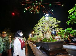 600 Bonsai Senilai Total Rp 25 Miliar Dipamerkan di Banyuwangi