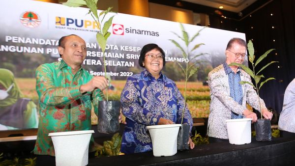 Bangun Pusat Persemaian Sriwijaya Kemampo