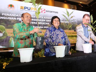 Bangun Pusat Persemaian Sriwijaya Kemampo