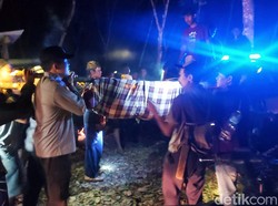 Pencari Madu di Banyuwangi Tewas Tersengat Tawon dan Jatuh dari Pohon