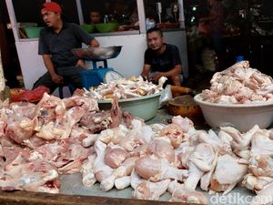 Harga Ayam Makin Mahal Gara-gara BBM Naik, Tembus Rp 42.000/Ekor