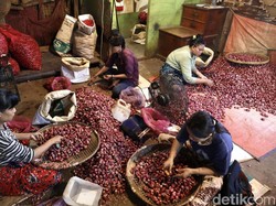 Harga Bawang Merah di Denpasar Naik 8 Oktober, Cek di Sini!