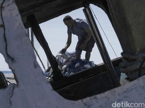 Budidaya Ikan Bandeng Air Payau, Sekali Panen Capai 500 Kg