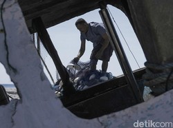 Budidaya Ikan Bandeng Air Payau, Sekali Panen Capai 500 Kg