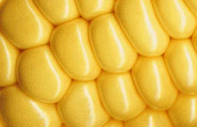 Foto Jepretan Lensa Makro, Hasilnya Memukau!
