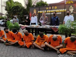 Kejar Pelaku Narkoba, Polisi Temukan Ladang Ganja 1 Hektare di Lereng Semeru