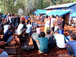 BKSDA Riau Pasang 10 Kamera Trap Usai Pekerja Diterkam Harimau
