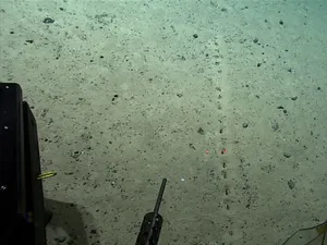 Temuan Lubang Misterius di Dasar Laut Bikin Ilmuwan Bingung Temuan Lubang Misterius di Dasar Laut Bikin Ilmuwan Bingung
