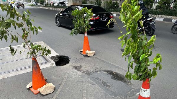 Ngeri, Lubang di Jalan Tendean Jaksel Cuma Dikasih Tanda Ranting Pohon