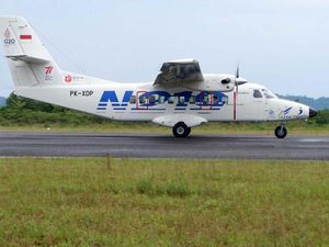 25 Pesawat N219 Laris di China