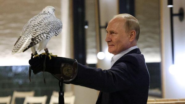 Biasanya Berkuda, Kali Ini Putin Foto Bareng Elang, Begini Ekspresinya