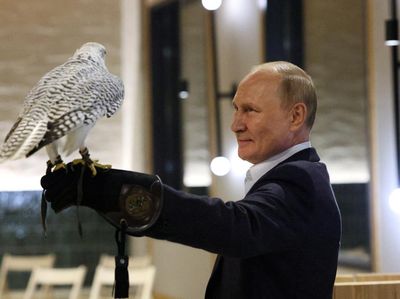 Biasanya Berkuda, Kali Ini Putin Foto Bareng Elang, Begini Ekspresinya