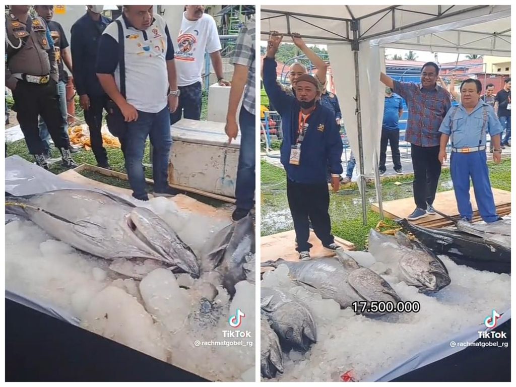 Bantu Nelayan, Rachmat Gobel Beli Ikan Tuna Seharga Sepeda Motor