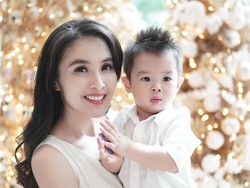 Sandra Dewi Bikin Dekorasi Natal Mewah, Ornamen Dibeli dari Eropa