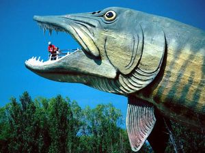 So Cute! Bangunan-bangunan Lucu Berbentuk Hewan