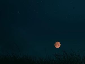 Fenomena Harvest Moon September 2023: Jadwal dan Asal-usulnya Fenomena Harvest Moon September 2023: Jadwal dan Asal-usulnya