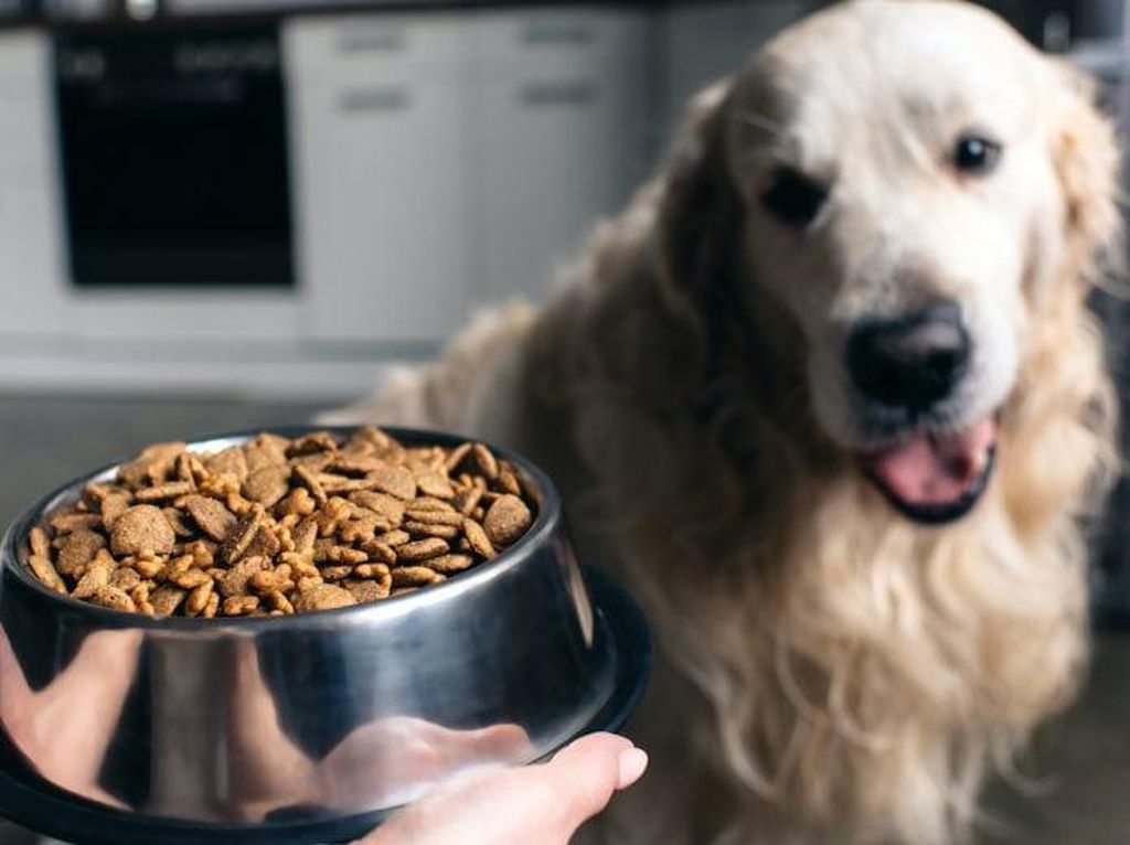 Demi Berhemat Mahasiswa Ini Rela Santap Makanan Anjing