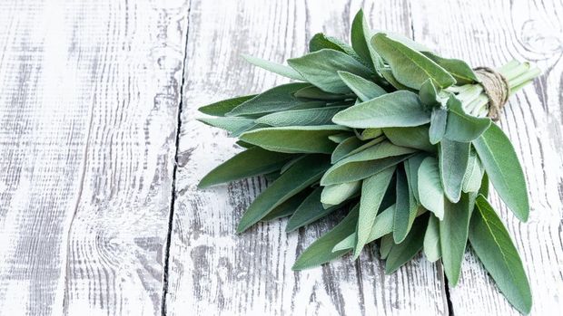 Sage  leaves or Salvia officinalis on white wooden table