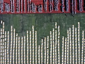 Begini Rapihnya Barisan Selimut yang Disusun Mahasiswa di China