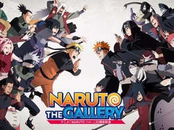Naruto Lawan Akatsuki di Ultah ke-20