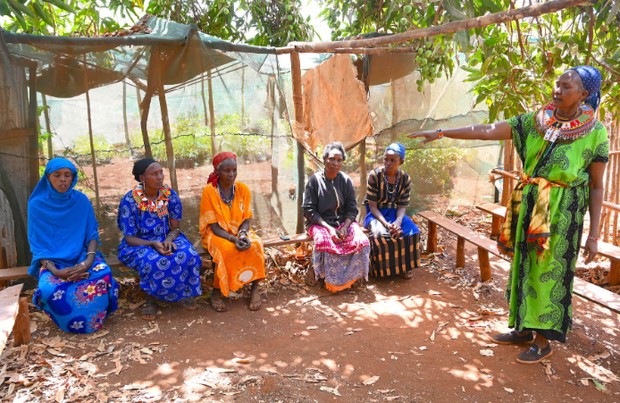 Pelatihan untuk menyelamatkan lingkungan/ Foto: World Vision Photo/Sarah Ooko