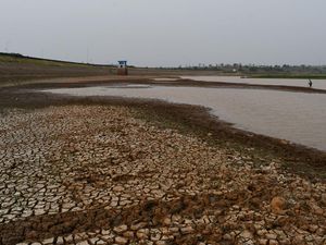 Waspada Kemarau Kering Mulai Maret! BMKG: Mari Panen Air Hujan