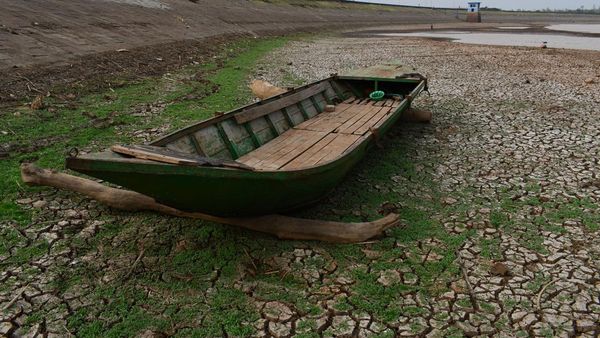 Waduk Dawuhan di Madiun Mengering Akibat Kemarau, Begini Potretnya
