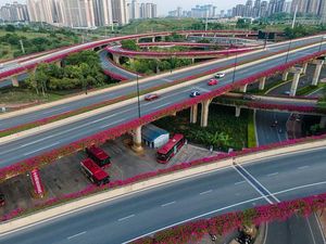 Wow... Bunga Bougenville Bikin Simpang Susun di China Makin Cantik