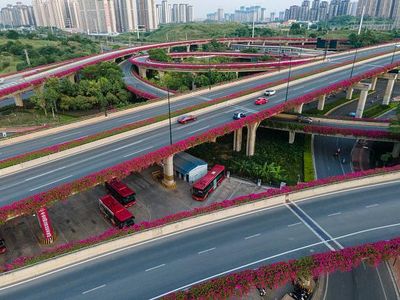 Wow... Bunga Bougenville Bikin Simpang Susun di China Makin Cantik