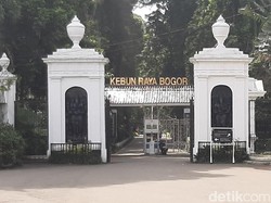 Libur Nataru, Polres Bogor Pertimbangkan Ganjil Genap
