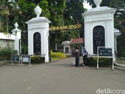 Geger Rombongan Paksa Masuk Kebun Raya Bogor dan Keroyok Sekuriti, Ini Faktanya