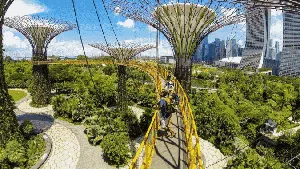 Deretan Skywalk yang Kerennya Kebangetan