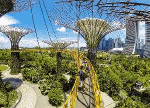 Deretan Skywalk yang Kerennya Kebangetan