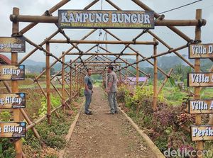 Kampung Bungur, Wisata dan Kawasan Ketahanan Pangan di Ciamis Kampung Bungur, Wisata dan Kawasan Ketahanan Pangan di Ciamis