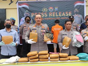 Bawa 19 Kg Ganja, Pemuda di Madina Ditangkap Polisi