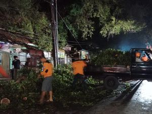 Pengendara Motor di Selogiri Wonogiri Tertimpa Pohon Asam