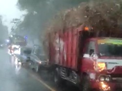 Angin Kencang Terjang Madiun, Puluhan Pohon Tumbang-Rumah Rusak