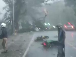 Pohon Tumbang Akibat Angin Kencang di Madiun Timpa Pemotor Pohon Tumbang Akibat Angin Kencang di Madiun Timpa Pemotor