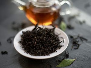 7 Manfaat Minum Teh Hitam di Pagi Hari, Bagus Buat Dorong Energi 7 Manfaat Minum Teh Hitam di Pagi Hari, Bagus Buat Dorong Energi
