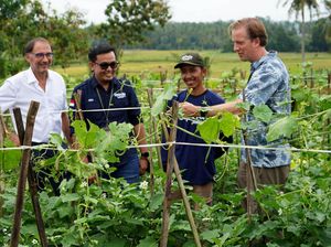 Aplikasi Ini Bantu Tingkatkan Produksi Petani