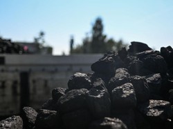 Harga Batu Bara Naik Tinggi, Laba Bersih Bukit Asam Tembus Rp 10 T