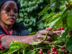 Cabut Bea Impor, China Merapat ke Afrika